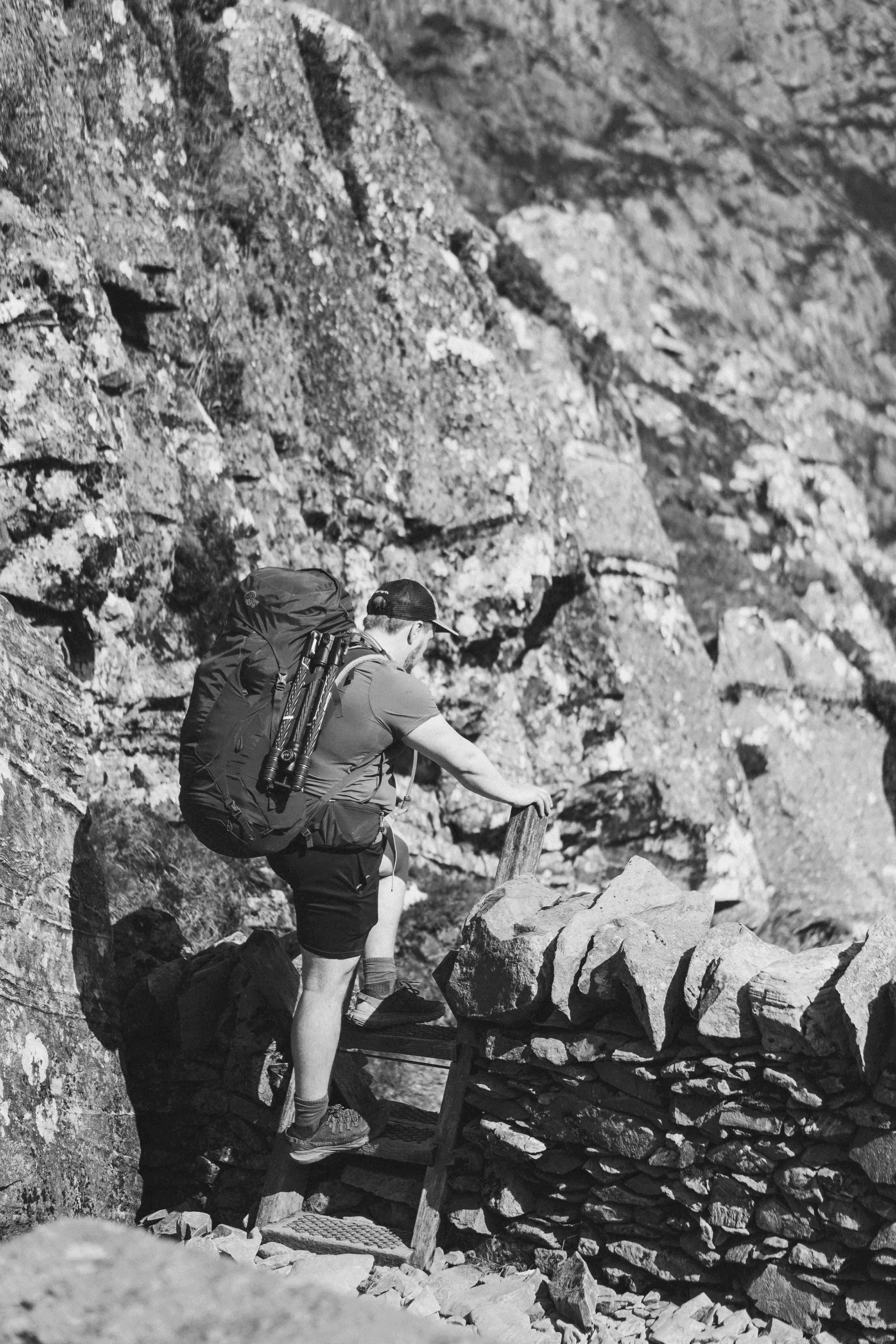 sed do eiusmod tempor incididunt ut labore et d